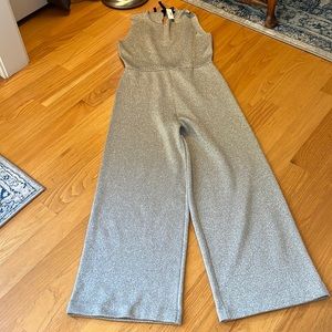 J.Crew NWT silver sleeveless Lurex jumpsuit w/ velvet tie size M